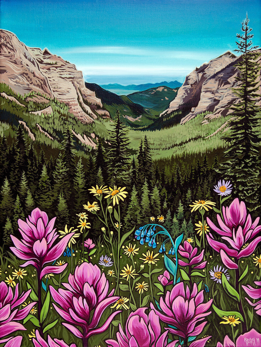 Canyon Paintbrush // Giclee Paper Print