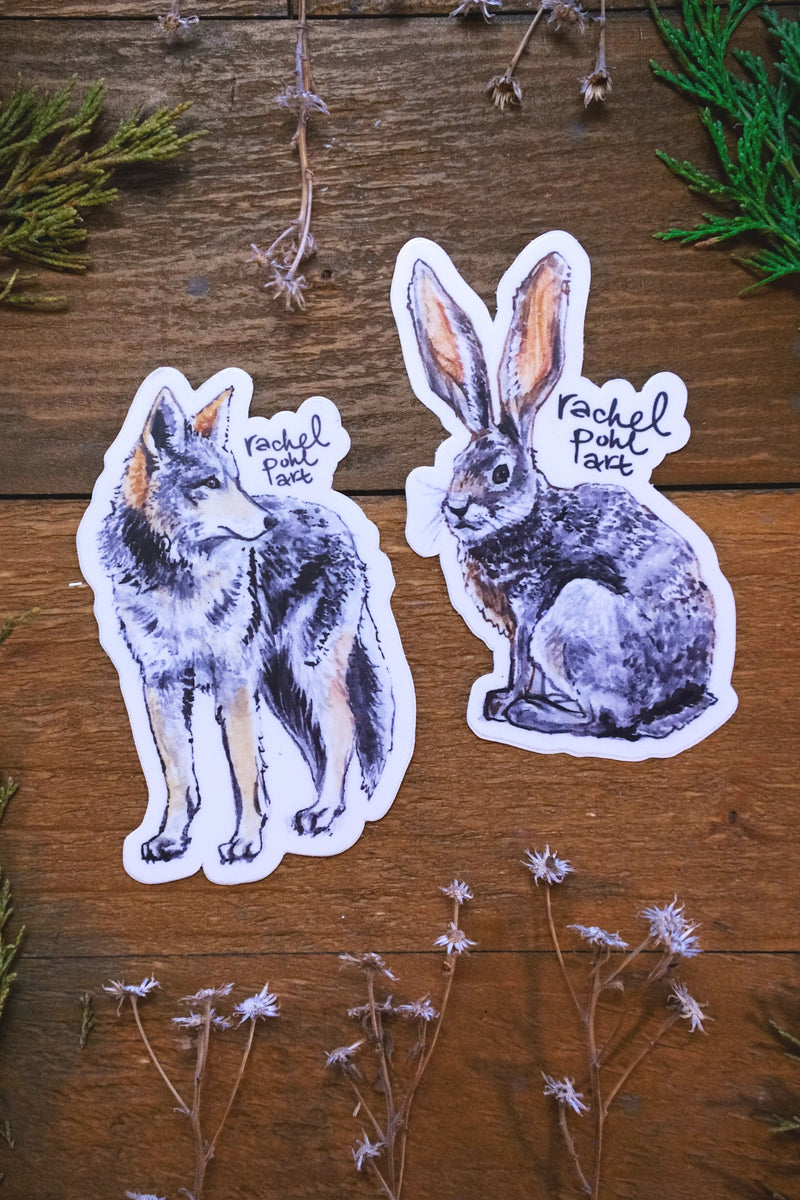 Coyote + Hare // Sticker Pack