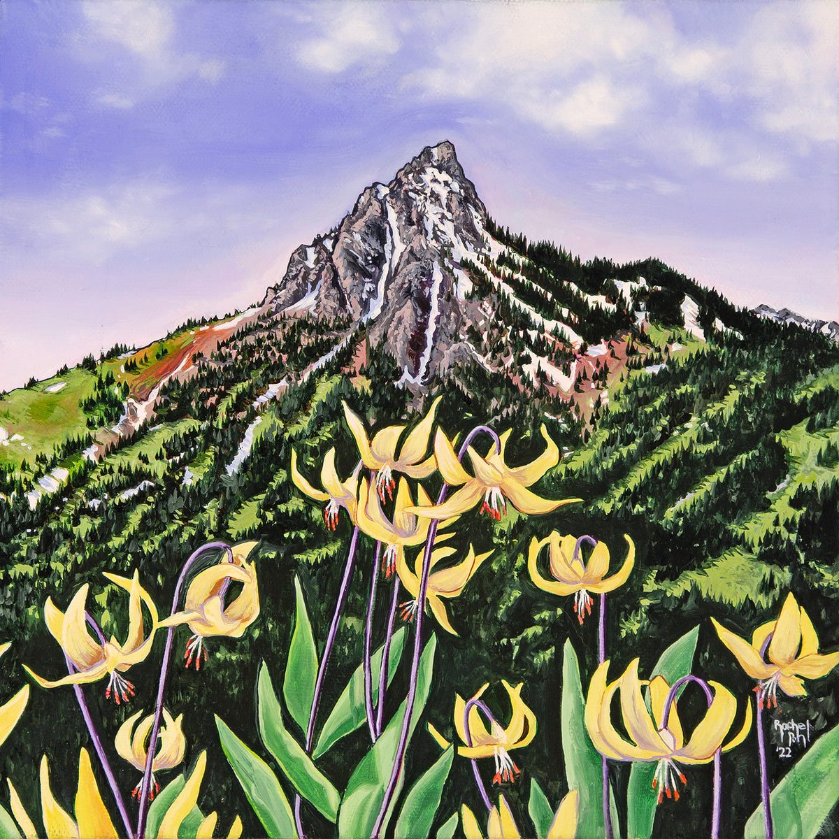 Ross Peak Glacier Lilies // Giclee Paper Print