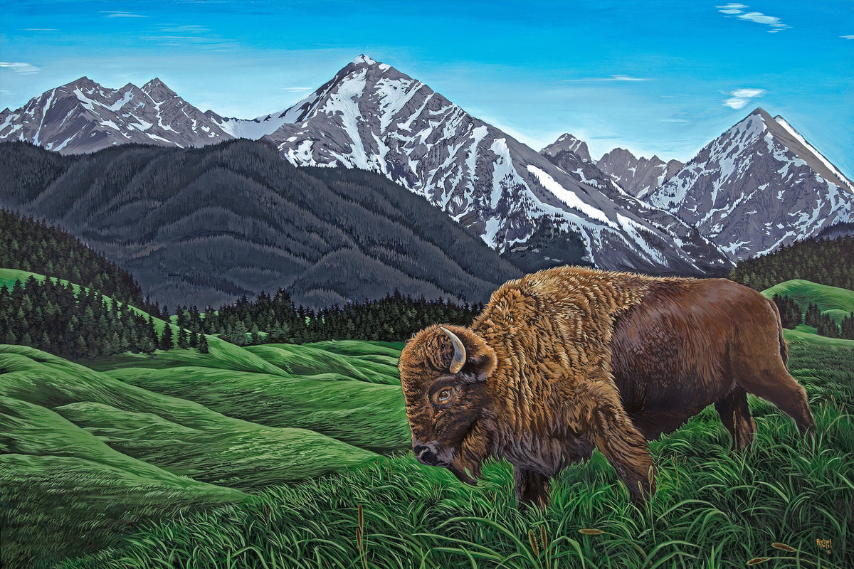 Big Sky Bison // Giclee Paper Print