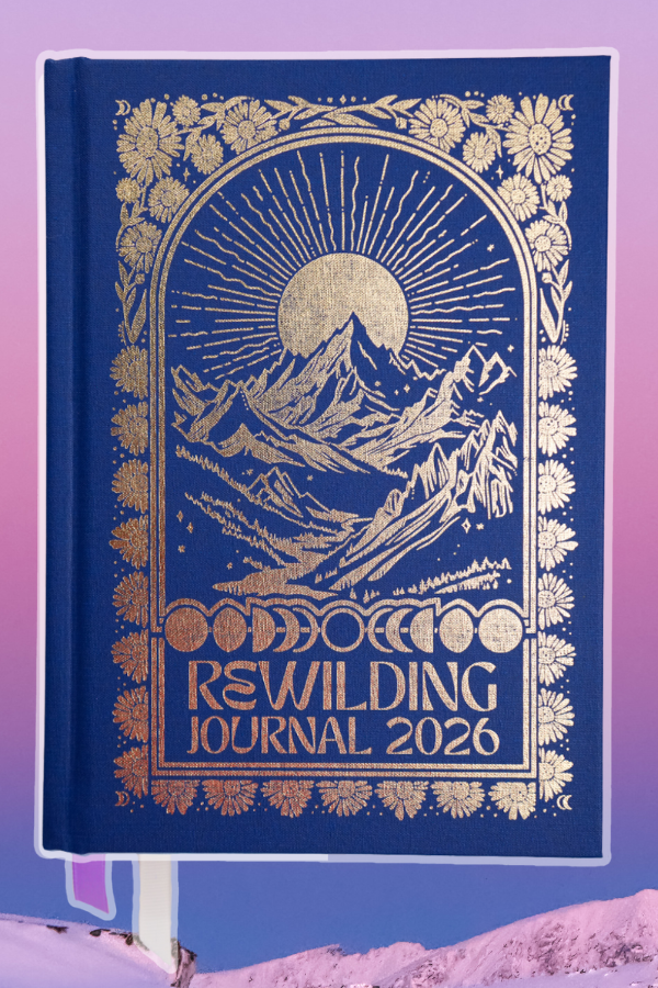 Canyon Paintbrush // Giclee Paper Print – Rachel Pohl Art